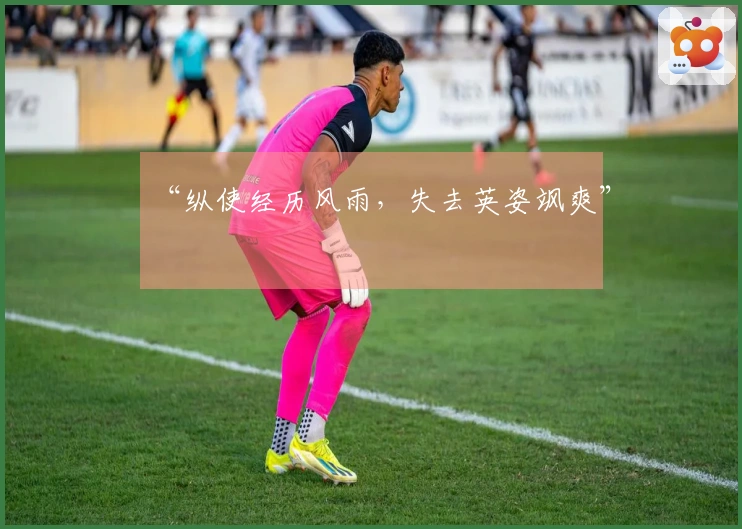 “纵使经历风雨，失去英姿飒爽”