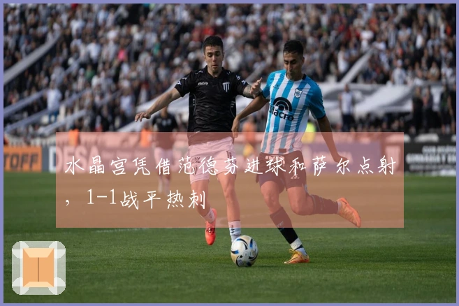 水晶宫凭借范德芬进球和萨尔点射，1-1战平热刺