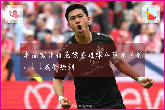水晶宫凭借范德芬进球和萨尔点射，1-1战平热刺
